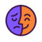 Notes from the Body