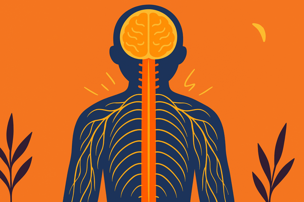 Why Your Nervous System Amplifies Pain